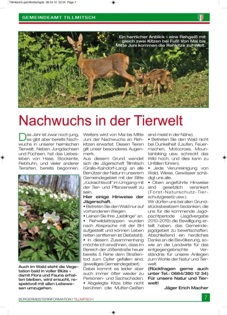 Gemeindezeitung Tillmitsch April 2010 Seite 7 - Gestaltung PR + Marketing Agentur Leodolter